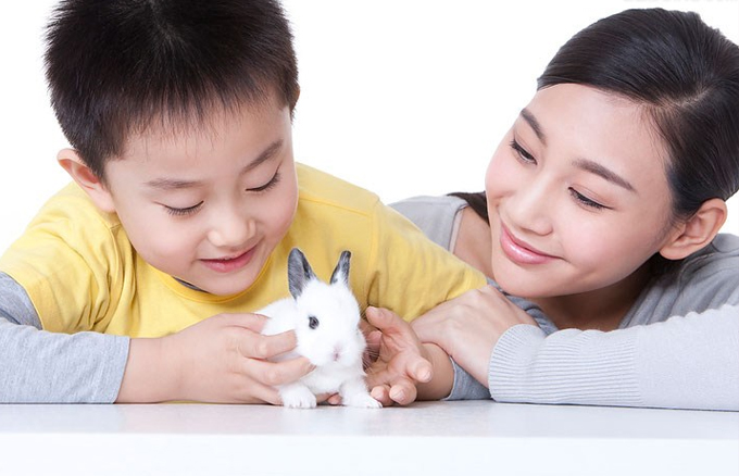 新加坡孩子的生活中,有种成长叫“爸爸不在家”