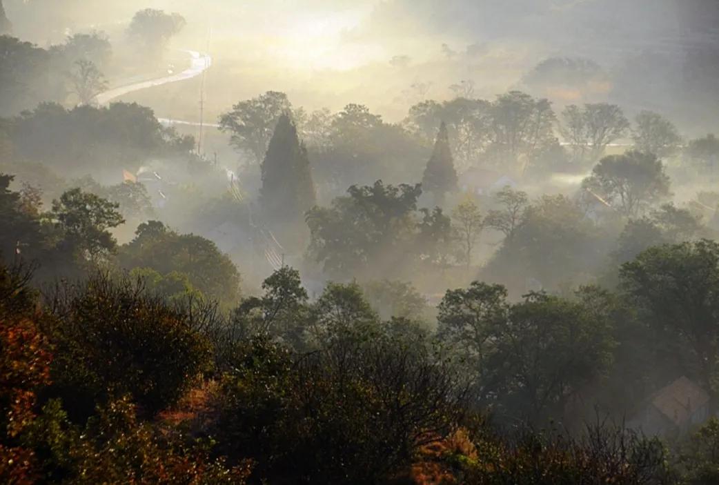 陕西礼泉作家韩武荣深情美文《秋雾》