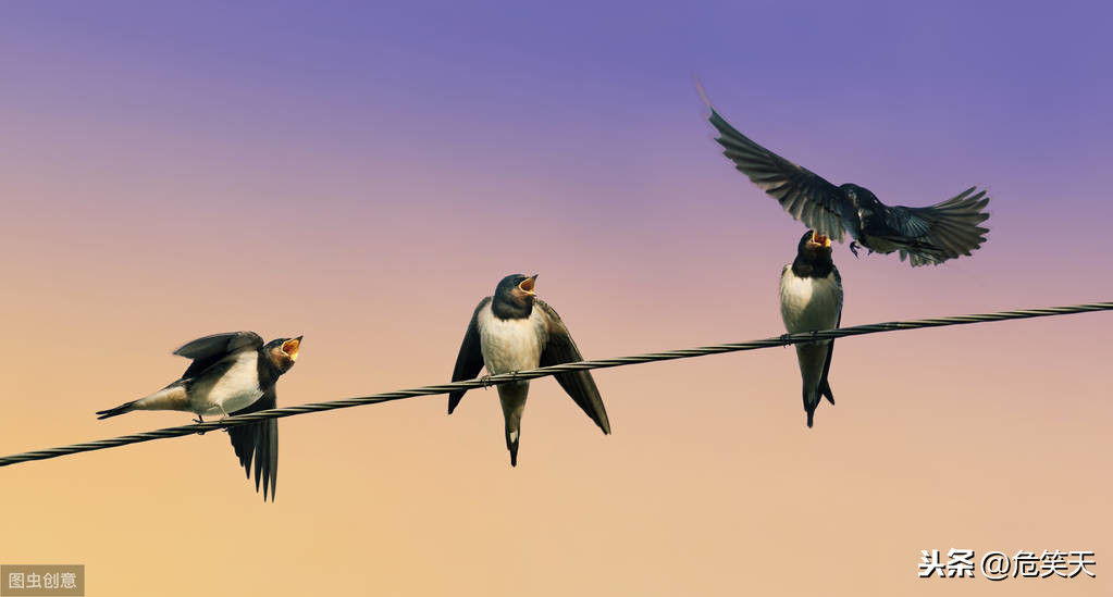 小学生作文《我喜爱的小动物》怎么写？