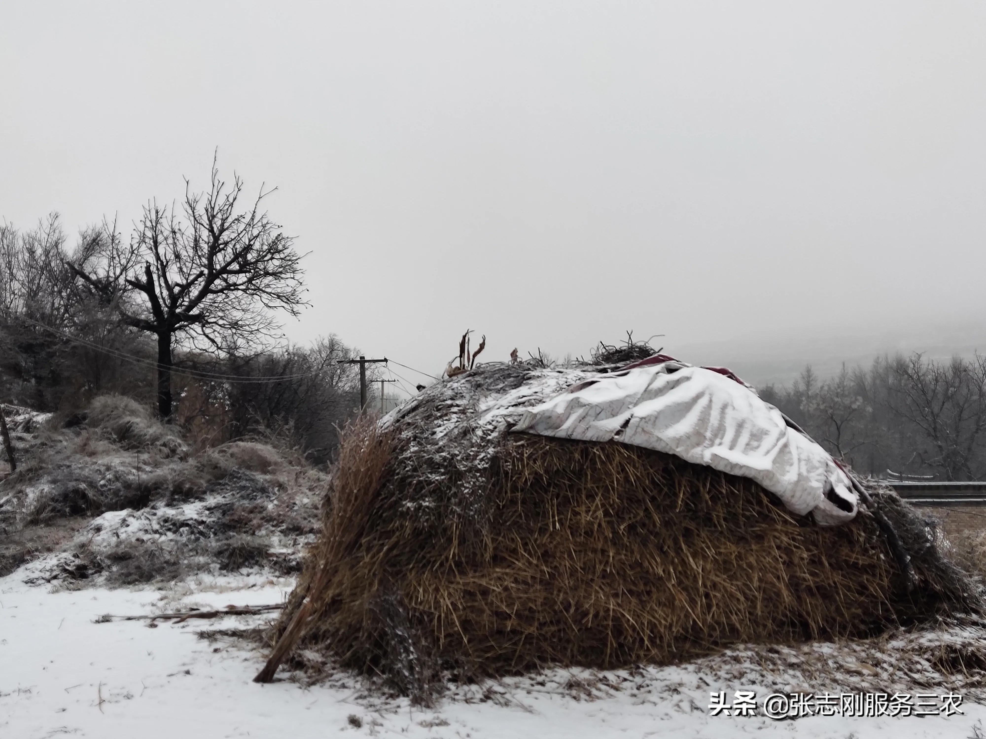西北农村山区一个贫困孩子家长，写给xxx老师的自我检讨书
