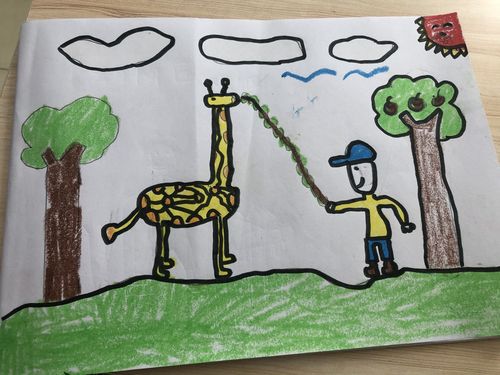 我和我的动物朋友