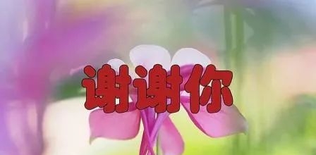感恩 作文(感恩作文800字高中)（感恩作文（高中感恩作文800字）文章) 