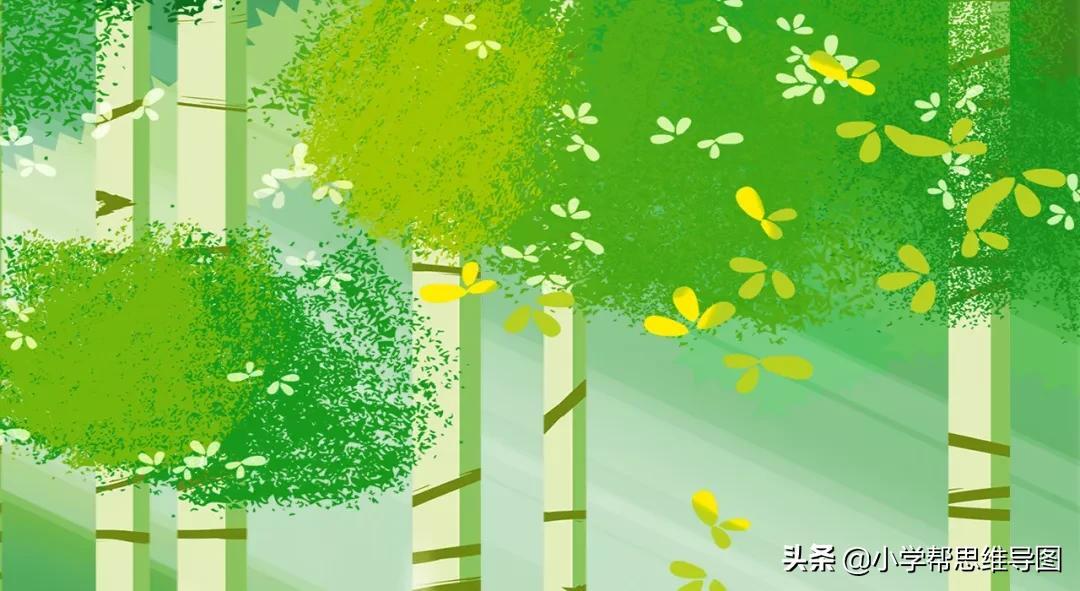 优秀作文 :?《魔方转转转》《“巨无霸”蚂蚁》《我家的小咪》