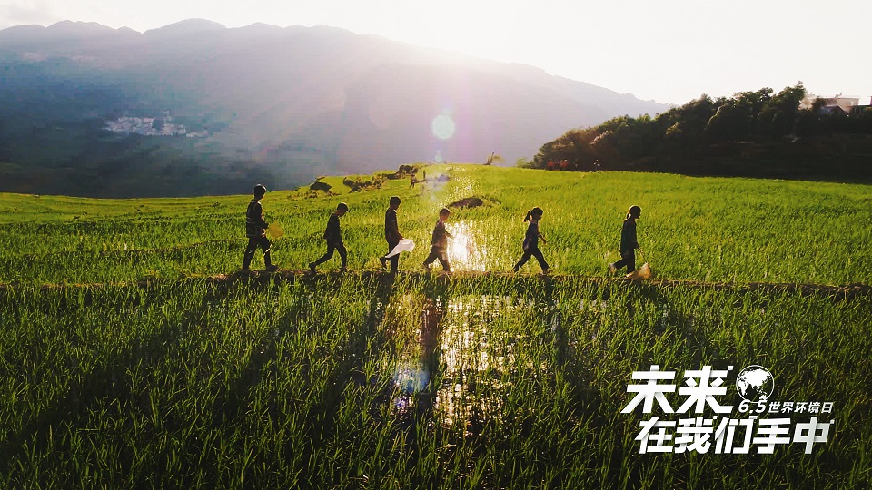 未来，在我们手中