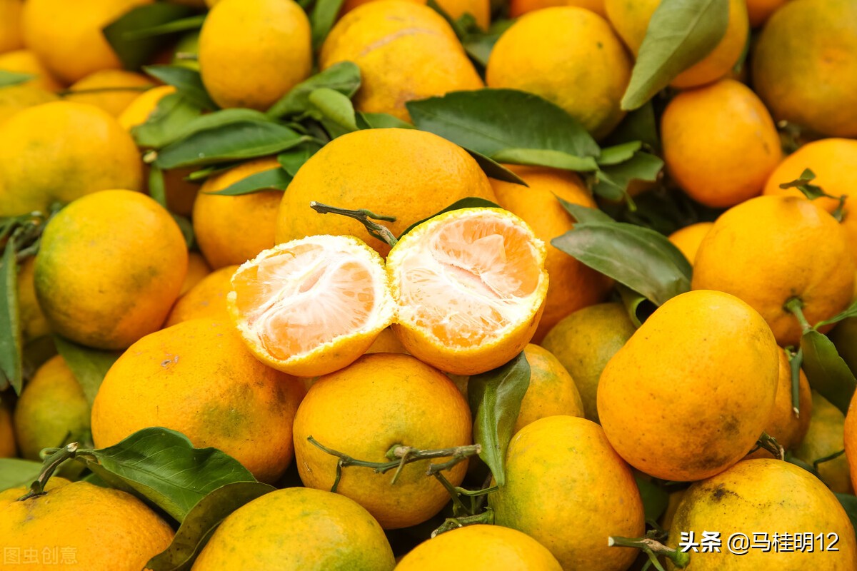 秋的作文(关于立秋的作文)（秋天的作文（描写立秋的作文）文章) 