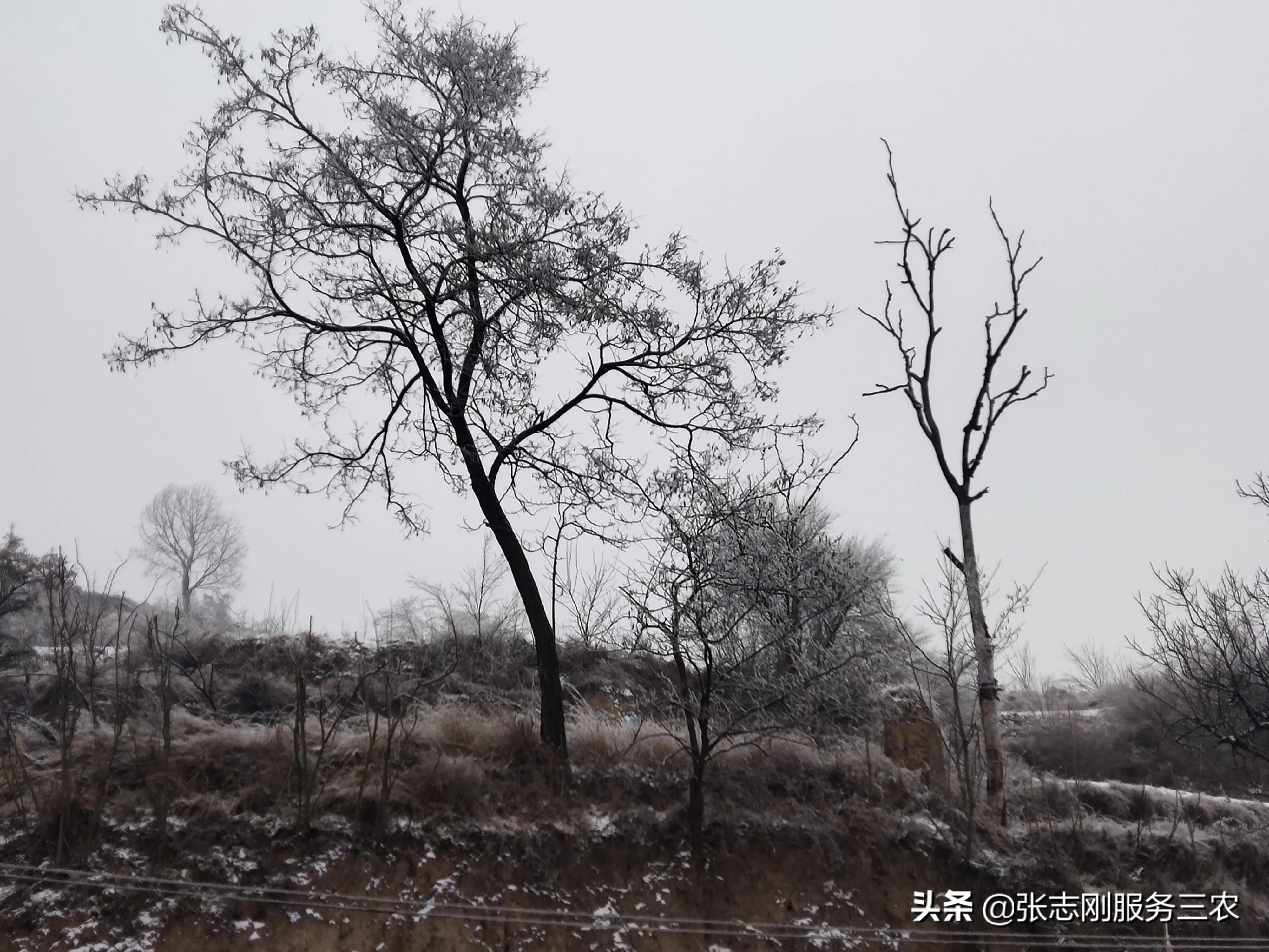 西北农村山区一个贫困孩子家长，写给xxx老师的自我检讨书
