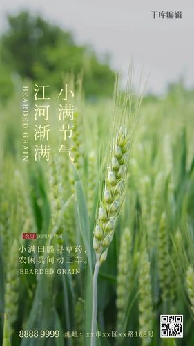 人生最好是小满