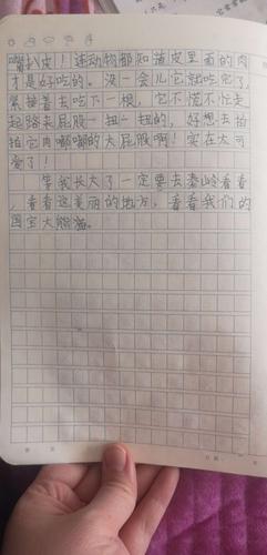 国宝大熊猫的作文(国宝大熊猫的作文350字)（作文（一篇关于国宝大熊猫的350字作文）文章) 