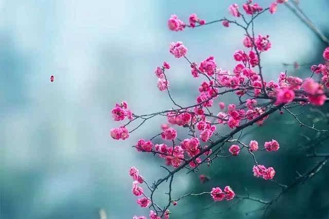 近朱者赤近墨者黑