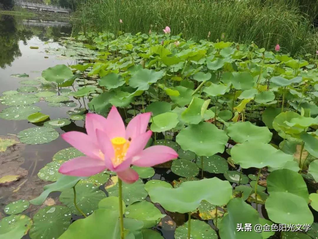 开学第一课2013观后感（2013年开学第一课的感想文章) 