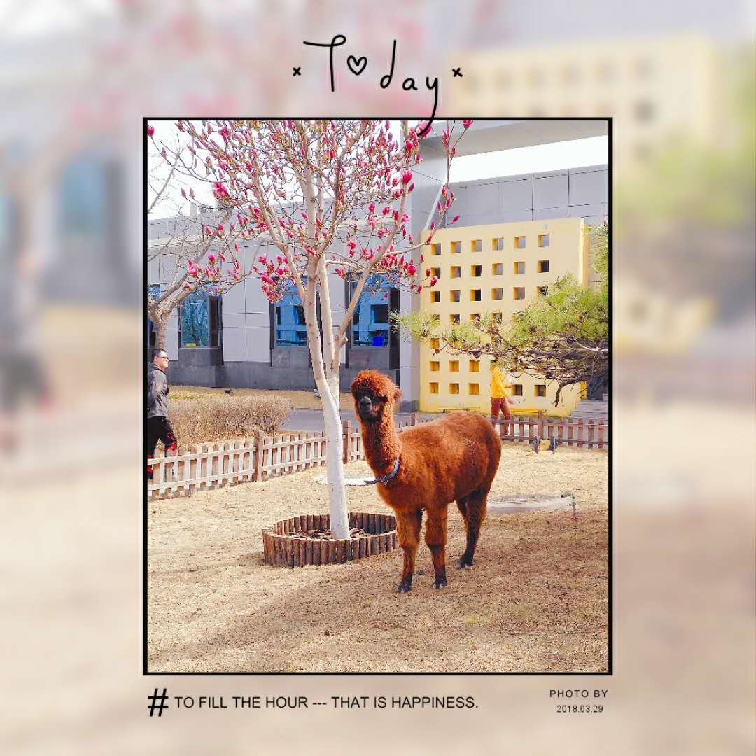 “琴瑟在御，岁月静好”唯美的句子配上唯美的图总有一个戳中你心