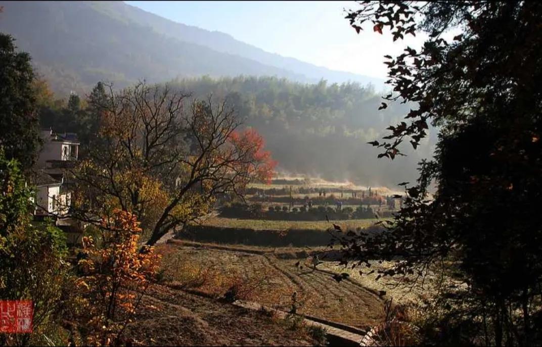 陕西礼泉作家韩武荣深情美文《秋雾》