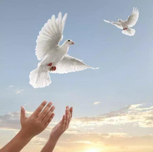 人教版 ▎四年级语文下册第四单元作文指导(战争与和平)