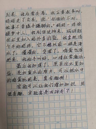我做了一项小实验三年级作文