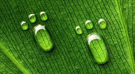 2022中考作文以“脚印”为话题押题导写——脚印