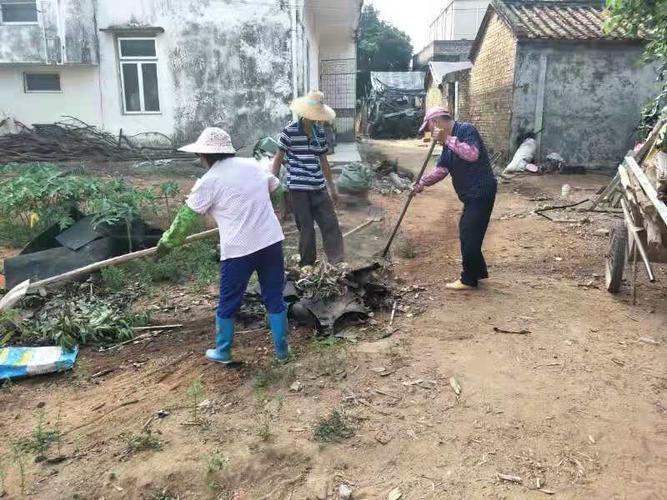 人居环境整治简报