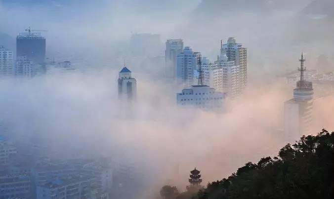 「新诗采撷」唐硕|又见雾来(外六首)