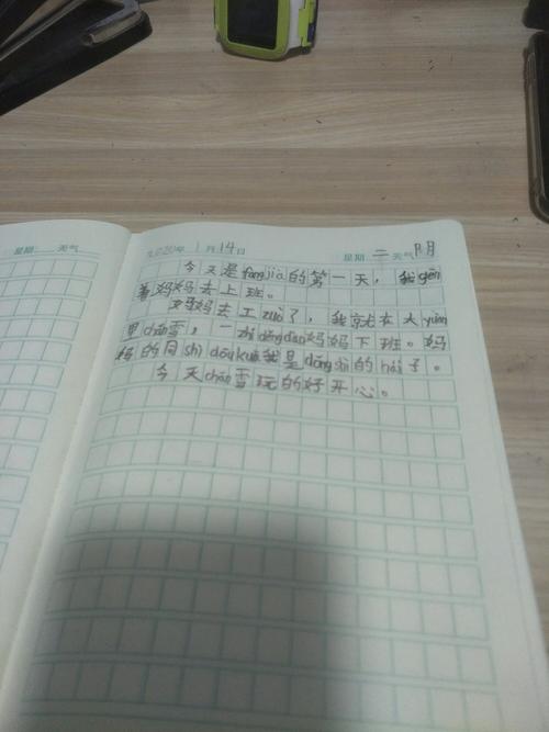 寒假日记三十篇