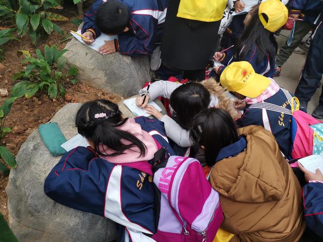 研学活动的收获和感悟