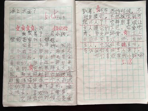 二年级写话我喜欢的小动物