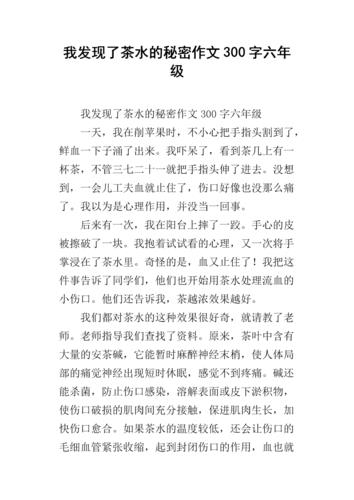 我的发现500字优秀作文(我的发现400字优秀作文)（一篇关于我的发现的优秀 500字作文（一篇关于我的发现的优秀 400字作文）文章) 