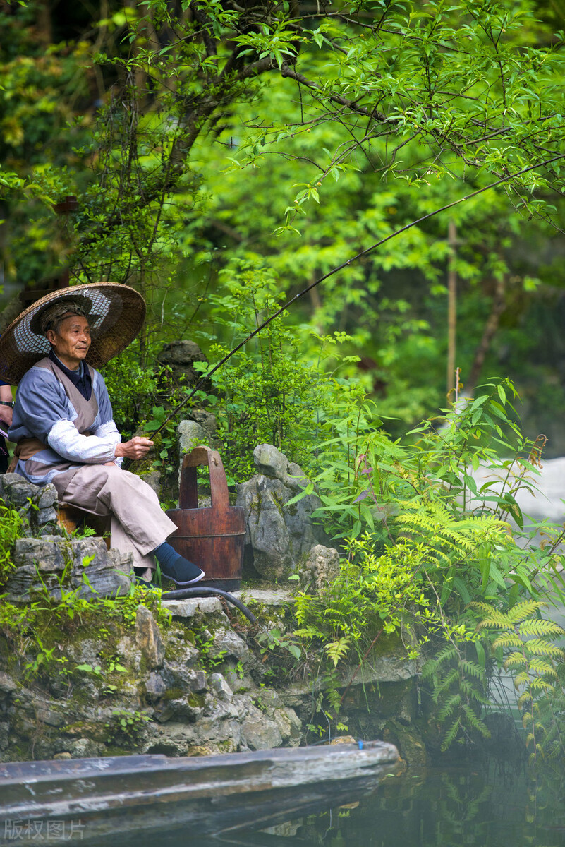 我心目中的桃花源(我心目中的桃花源600字作文)（我心中的桃花源（我心中的桃花源600字作文）文章) 