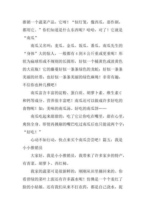 小小推销员作文300字