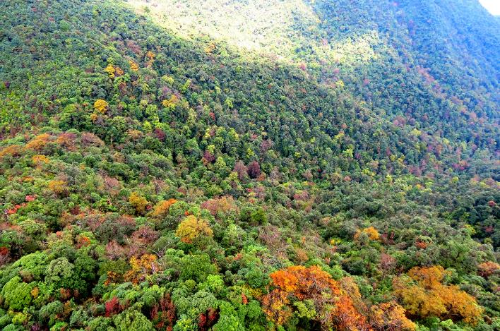 国际生物多样性日丨保护生物多样性，韶关这样做