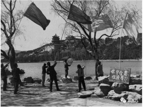 除四害运动的后果(为什么除四害运动)（除四害运动的后果（为什么要开展四害运动）文章) 