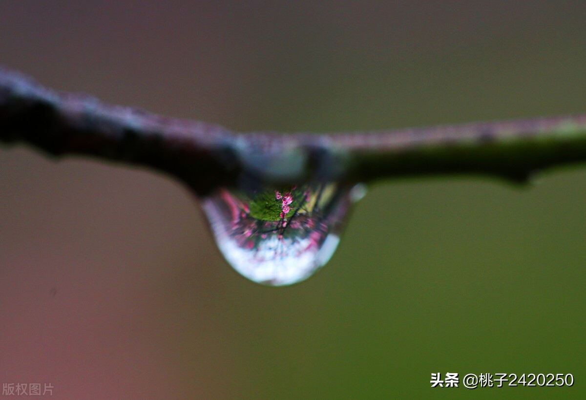 给妈妈写一封信(给妈妈写一封信)（给妈妈写一封信（给妈妈写一封信）文章) 