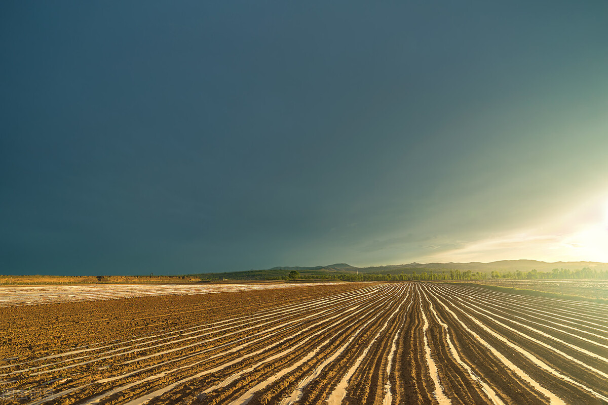 中考优秀作文赏析《生活里的微感动》，七至九年级适用