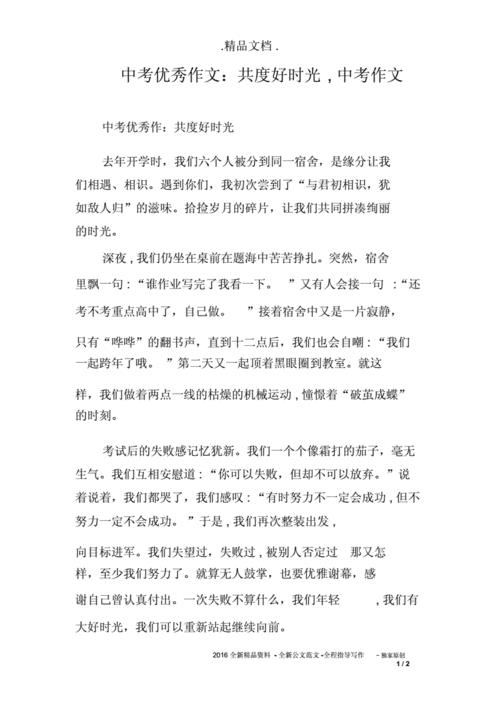 共度好时光作文
