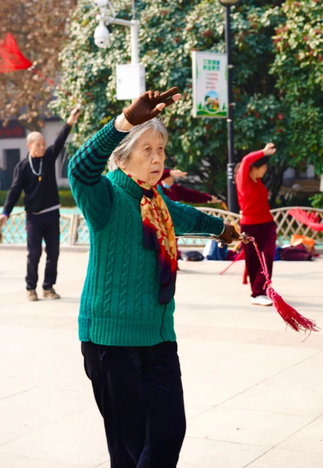 冬季晒太阳的好地方，我只告诉你