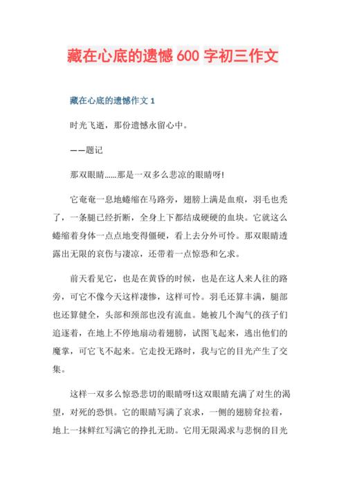 藏在心底的什么作文600字
