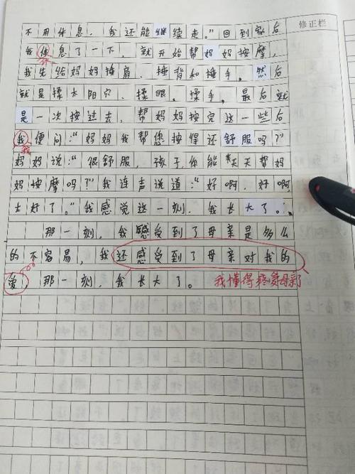 那一刻我长大了作文450字