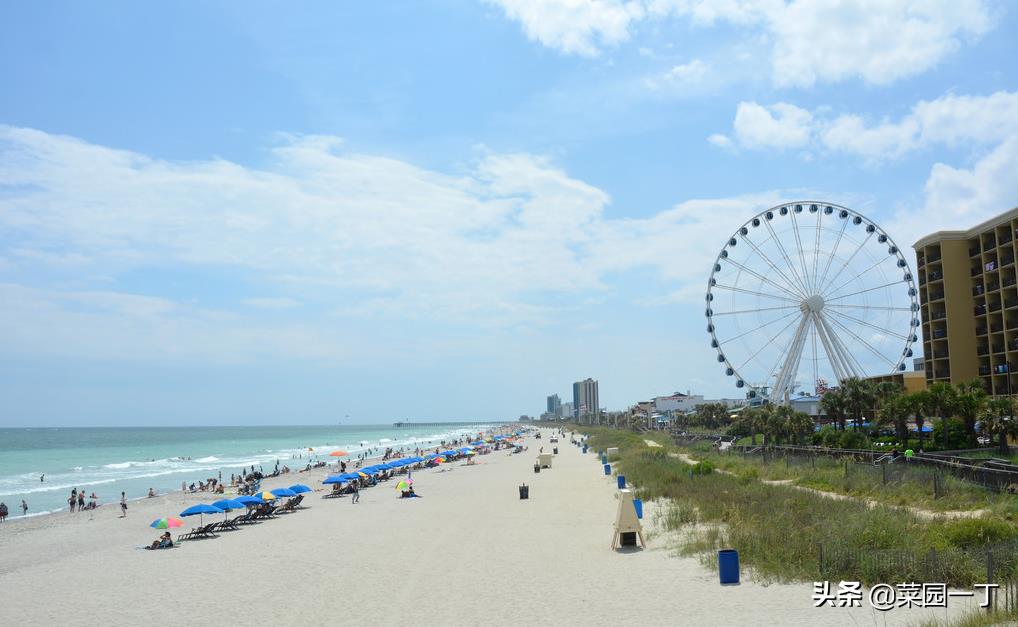 《专注自我，共同推进社会文明》——2015年高考全国II卷满分作文