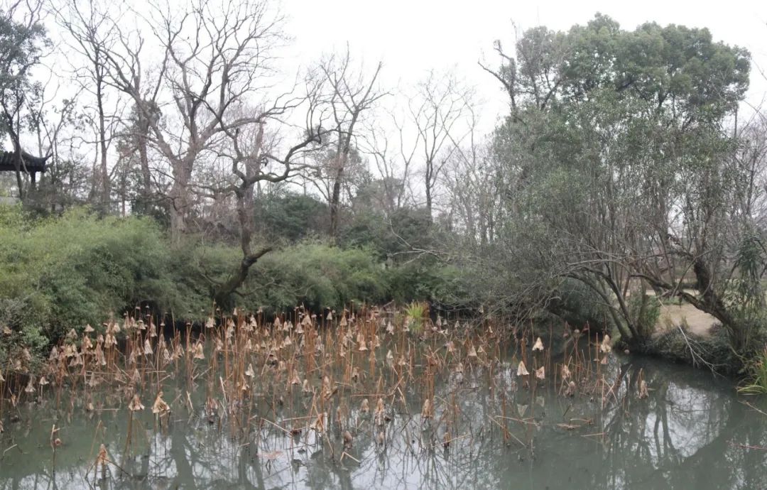 三年级作文《这儿真美》,光写颜色就有三百字,怎样写好写景作文