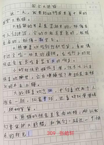 作文大熊猫三年级300字