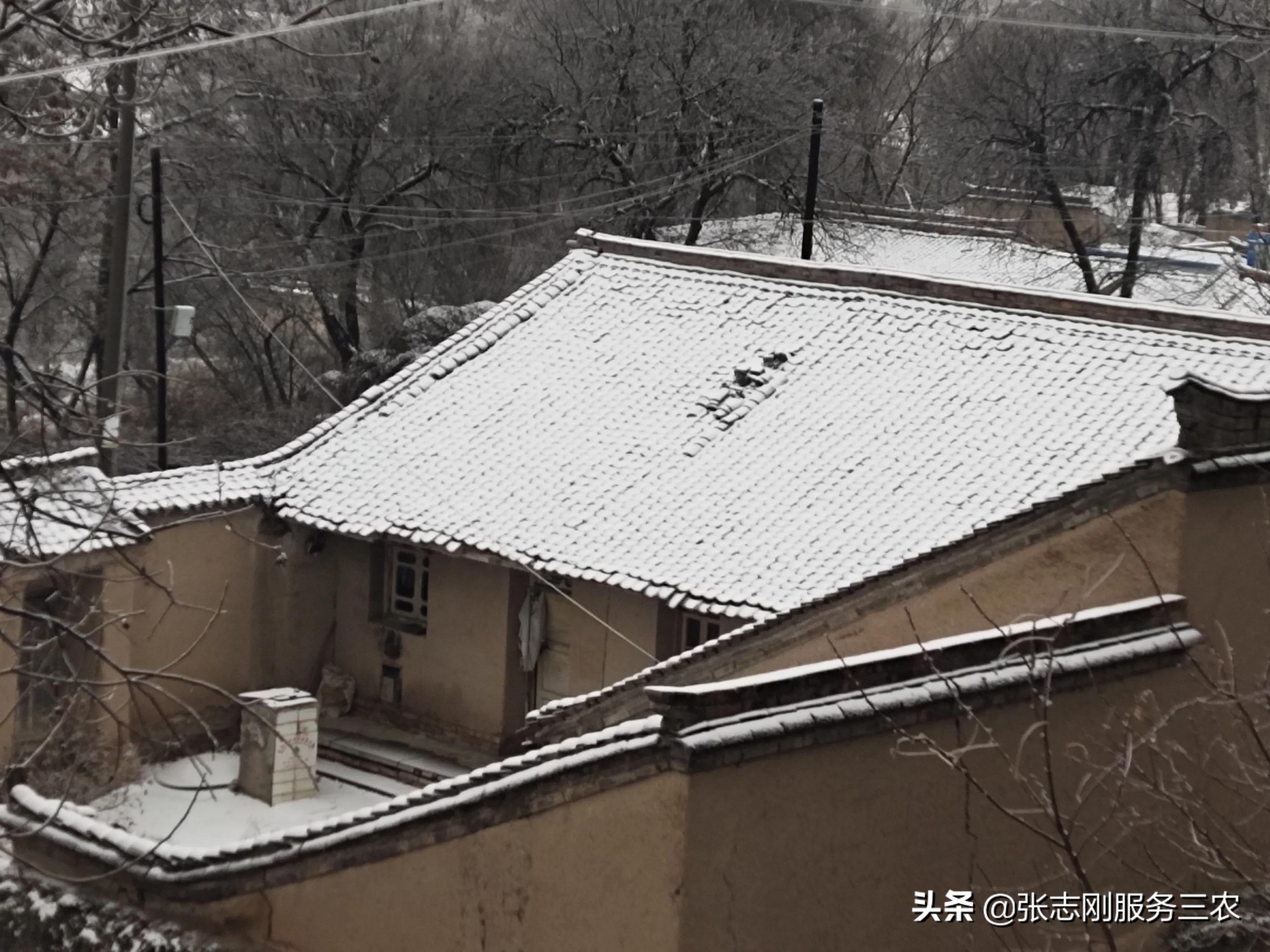 西北农村山区一个贫困孩子家长，写给xxx老师的自我检讨书