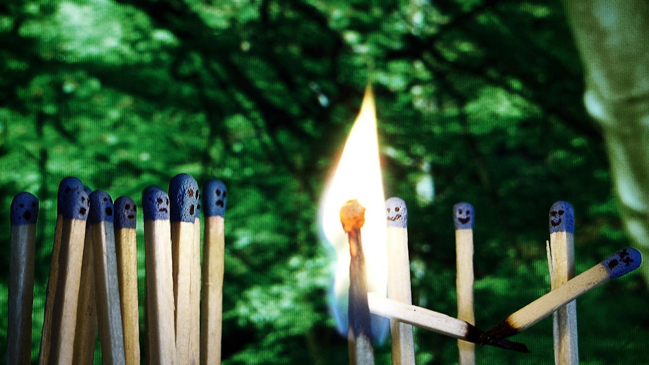 「新诗采撷」唐硕|又见雾来(外六首)