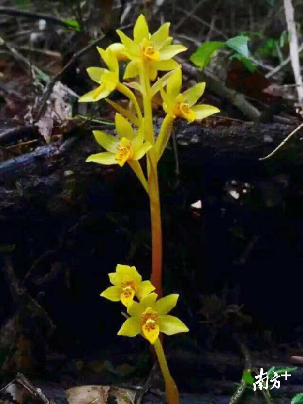 国际生物多样性日丨保护生物多样性，韶关这样做