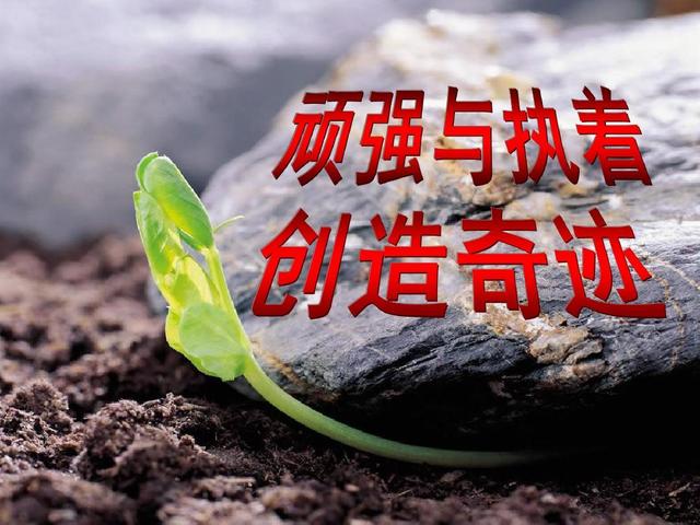 生命作文(生命作文600字)（生活作文（生活作文600字）文章) 