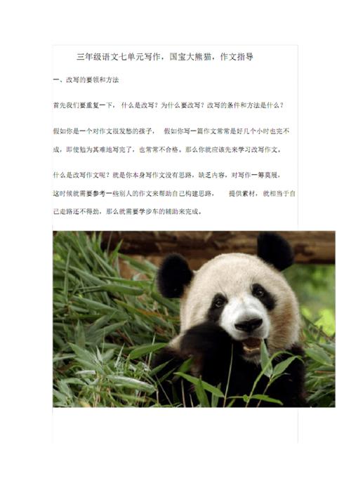 国宝大熊猫的作文