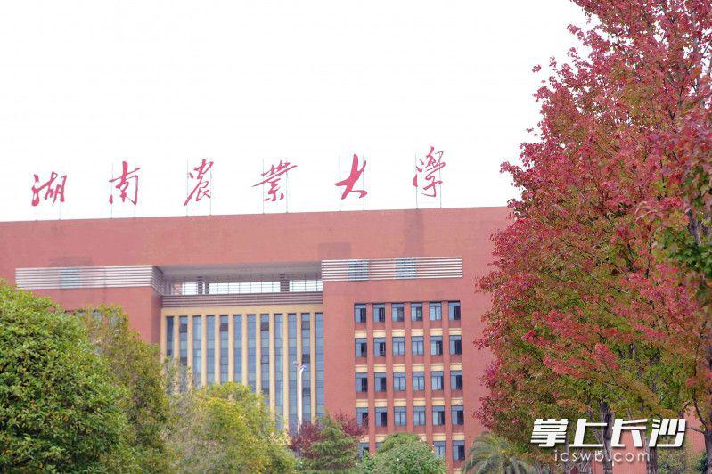 书香校园秋色如画