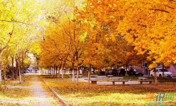 什么的校园(什么的校园abb式词语)（什么样的校园（什么样的校园abb型词）文章) 