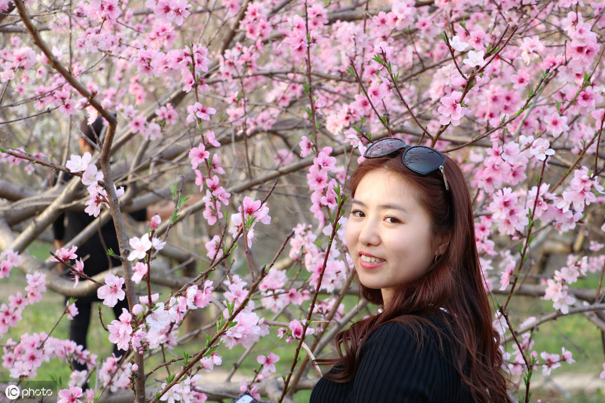 赵德忠散文《思念是最美的情缘》，文字美，情思美，值得一读