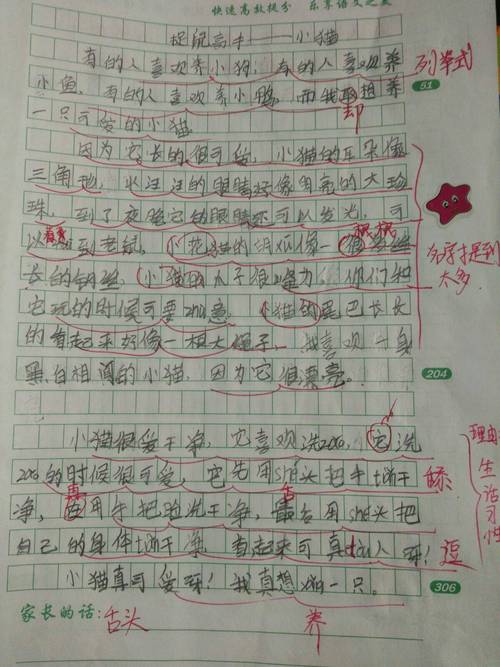 我喜欢的动画片二年级作文