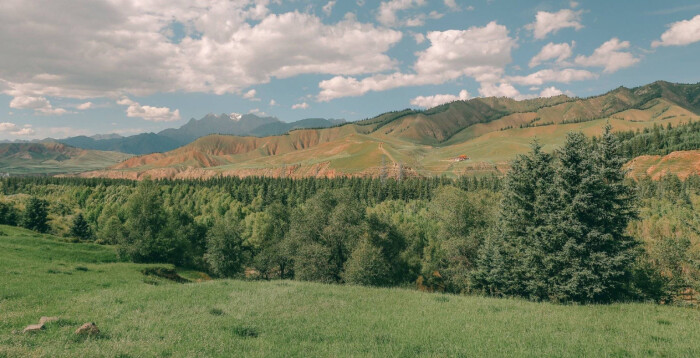 作文主题:磨难、挫折