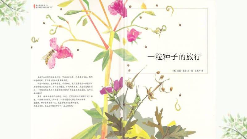 一粒种子的旅行(一粒种子的旅行思维导图)（一颗种子的旅程（一颗种子的旅行思维导图）文章) 