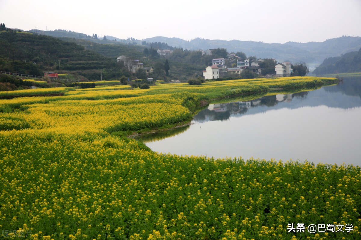 诗歌：感受春雨（外一首）